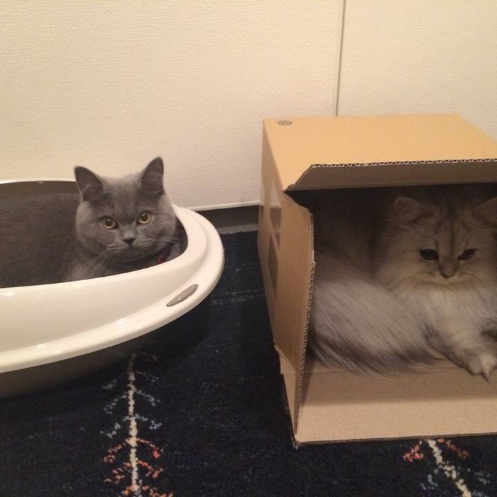 5e681f7d 3a7c 4cfa bd0d 519efe3012e4