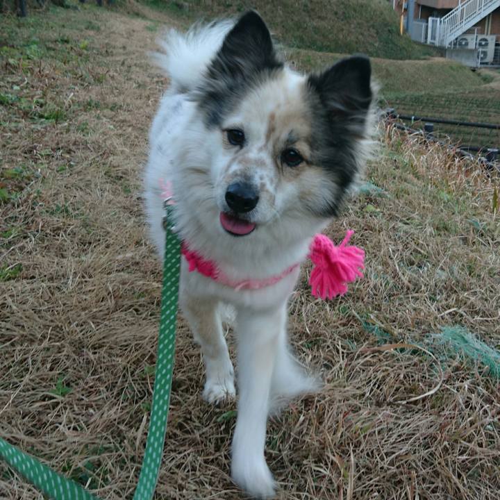 5e6831f4 87d7 42b4 bd4b fd7f0427aaea