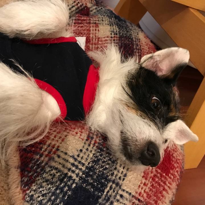 5e691559 2941 4d53 81cf bd6d9b644f6b