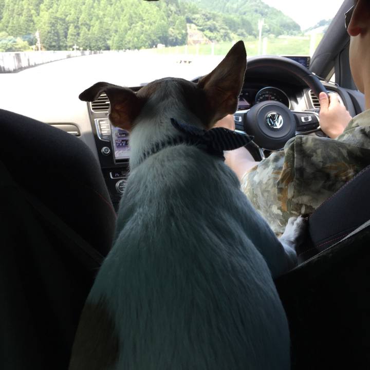 5e6916c2 7d2a 43db 921d 214d9ac57e1d