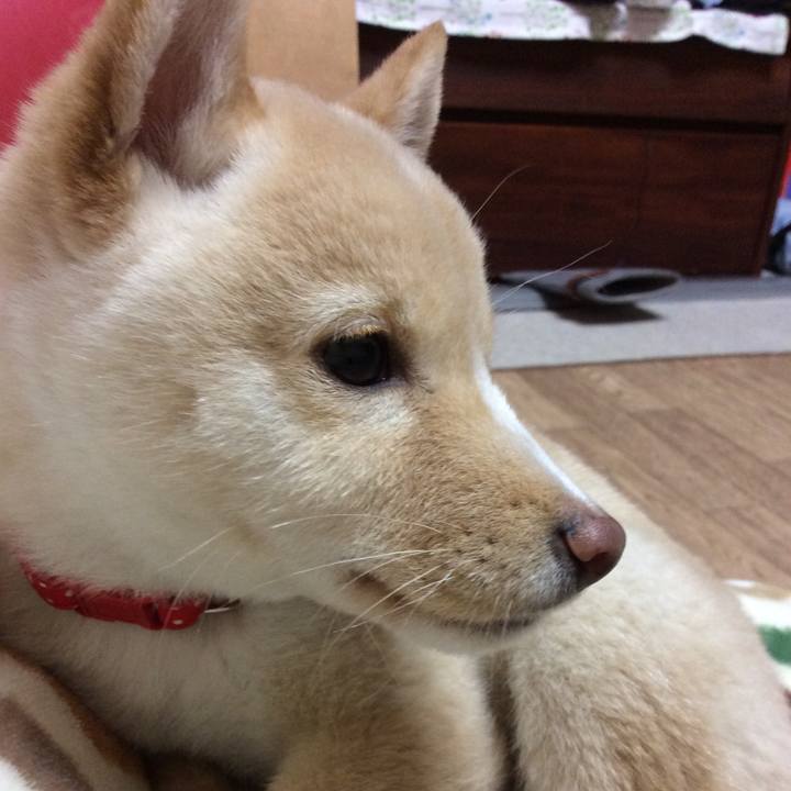 5e693758 0028 4561 b3a0 e8f6087341c7