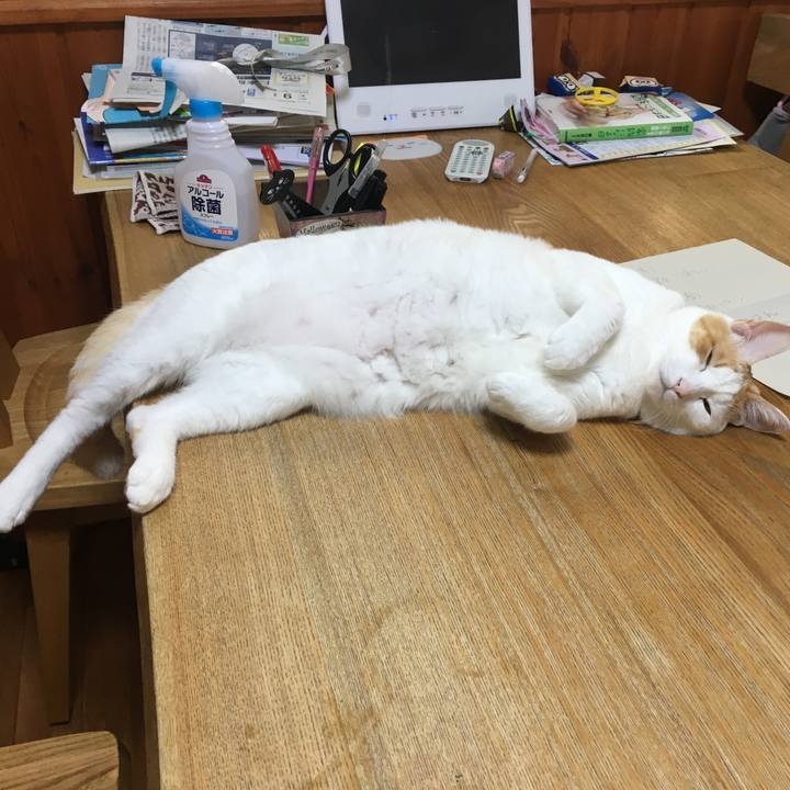 5e693a03 7246 432d ac38 91e93a22053f