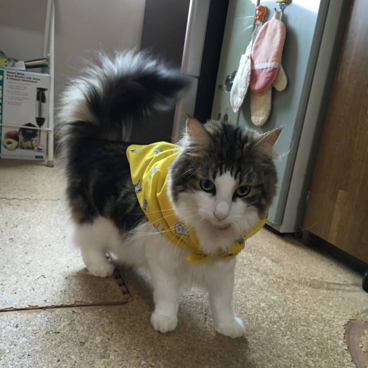 5e6992e7 94b1 4aaf 9cfb 736976a49fc8