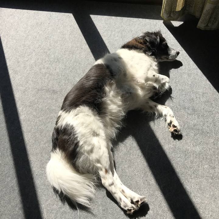 5e69c62e 959d 47da 89b1 5f36c192e240