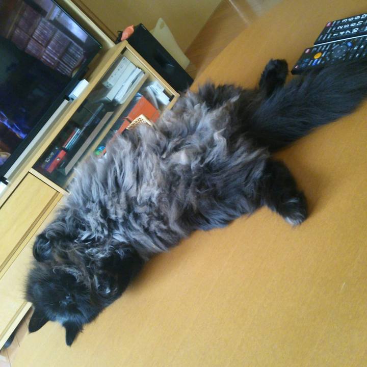 5e6ababc 35aa 47b9 aed3 e0ac23d4334d