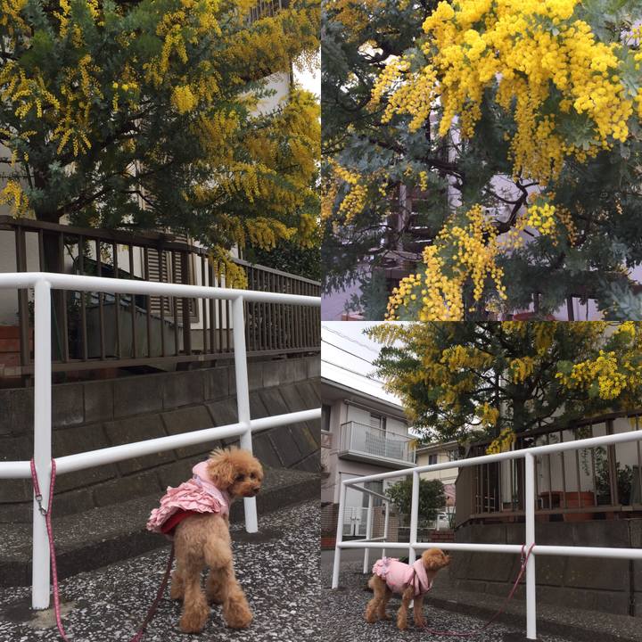 5e6b8c0d 5cb9 4136 96d4 e20f1a427059