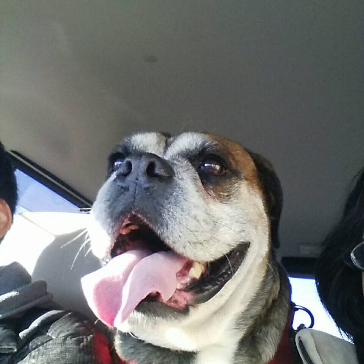 5e6be17b 13d5 4073 adc6 4a191da9b594