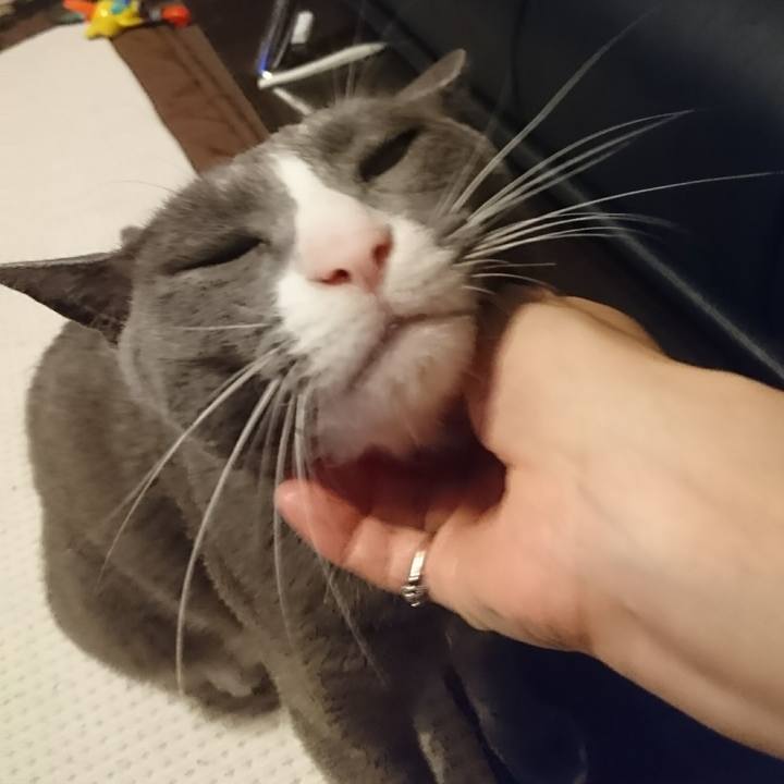 5e6c2cac 4be1 44a6 817c ce7ce763a19d