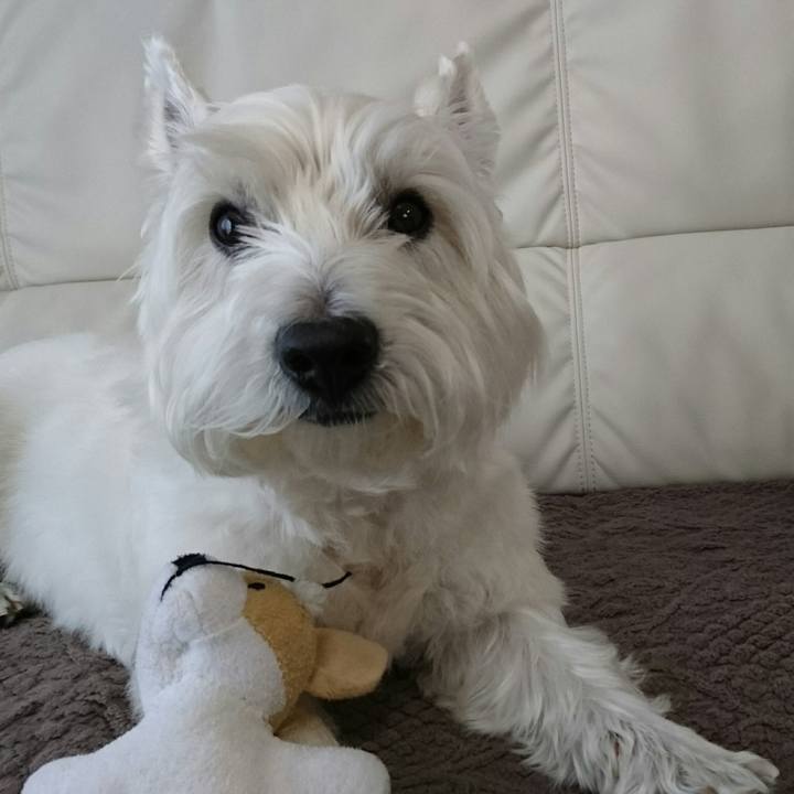 5e6ca800 d538 4740 9341 21d85e1302c5