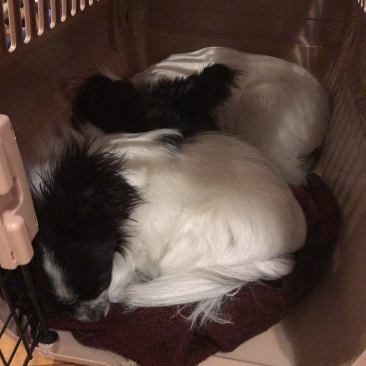 5e6d0ab9 5524 465d bc42 c0f81da80b51