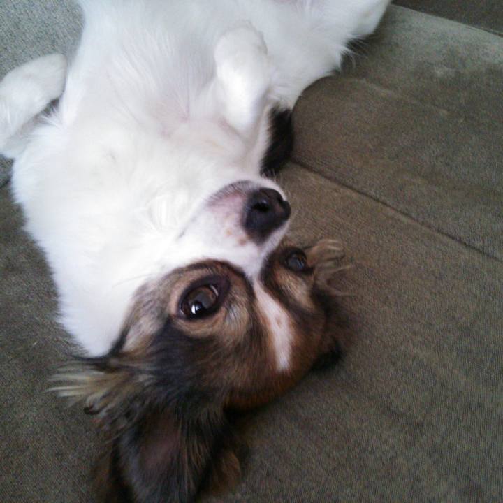 5e6d20c1 ce81 4de9 87a7 de19f400b5d5