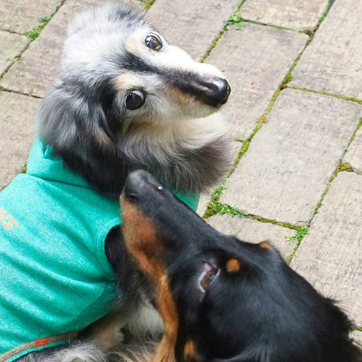 5e6d29ee 2319 468b b33a bc68c4d3ecdd