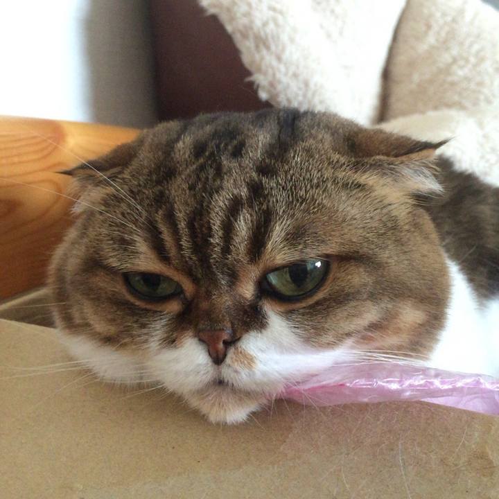 5e6d76f5 2d66 4e4c 9f27 fa3bd6392bf1