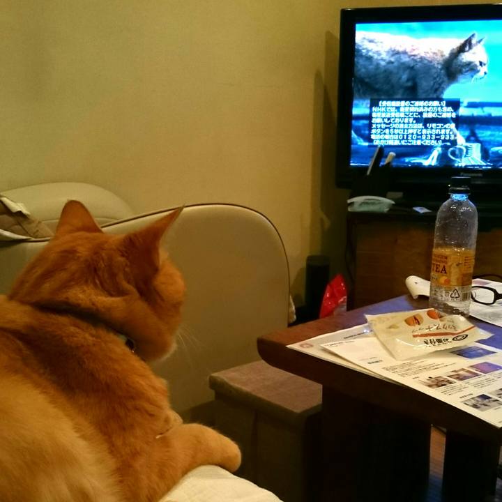 5e6d8e2b f707 47b5 b167 7bf95547e59b