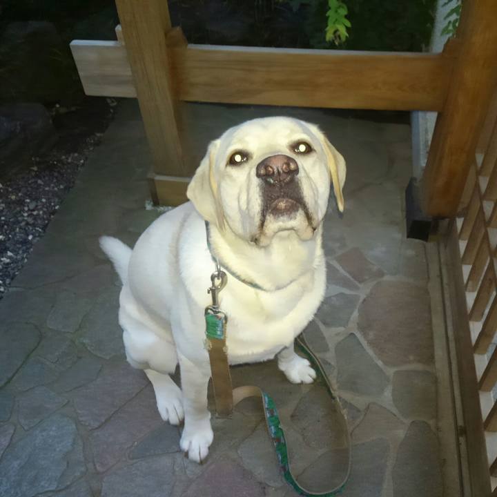 5e6e191e 57a6 4db0 bb28 7690d04e85af