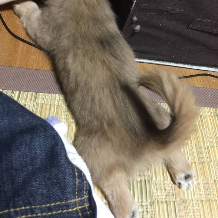 5e6e30f7 22d2 46fc a1a8 2a7b788823dd