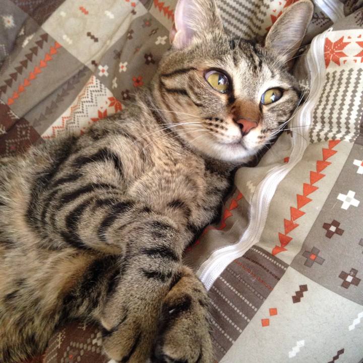 5e6edbce 5eec 4e29 aa4e a43b4a8fc2a4