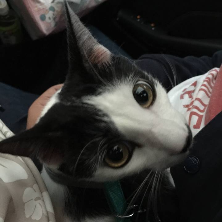 5e6f0e3e 897b 4d6d b2a1 f70cc4aaf2e1