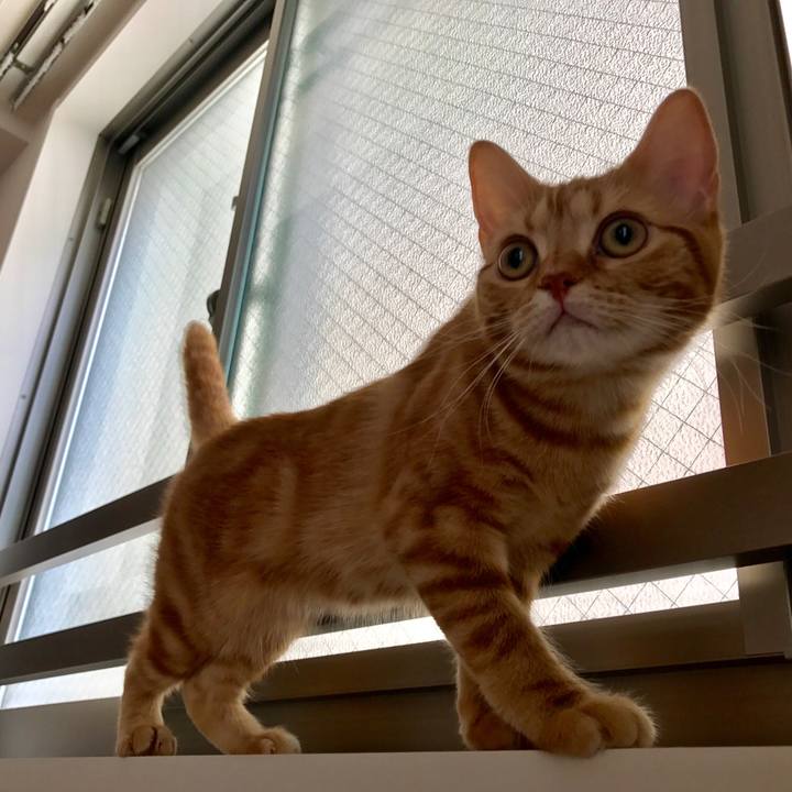 5e6f3517 cdd9 4883 ba85 0dfb6511cf53