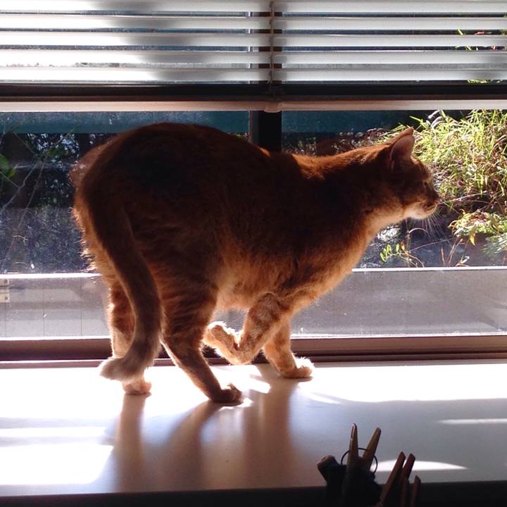 5e6fa4c1 ce2e 41a7 bb43 c7718fb1eb65