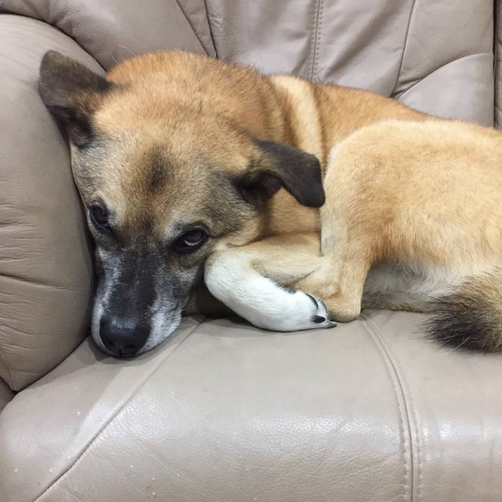 5e700be7 fa37 43bf b6af ef3c279cf718