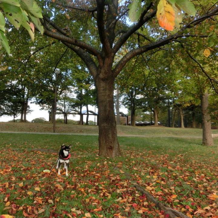 5e7018fc 42bf 4fe5 9e5d 58b8e32d9897