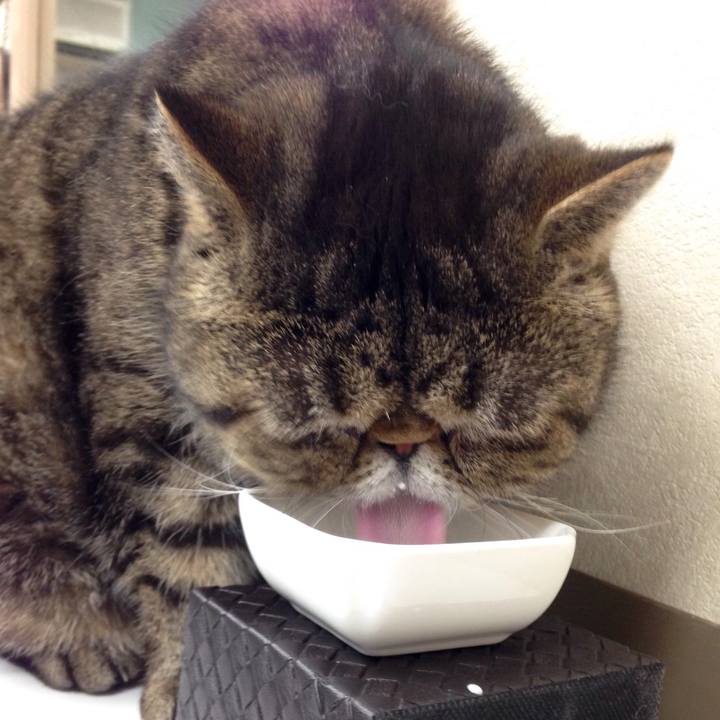 5e70583d 3ef2 4d33 83ec 7ad3d22c5667