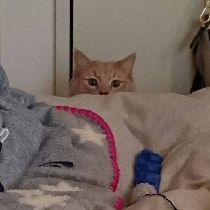 5e706f3e e65a 4385 abc7 069dfe11912a