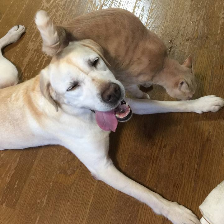 5e709f68 f016 4e33 94e3 78fb64f6c3db