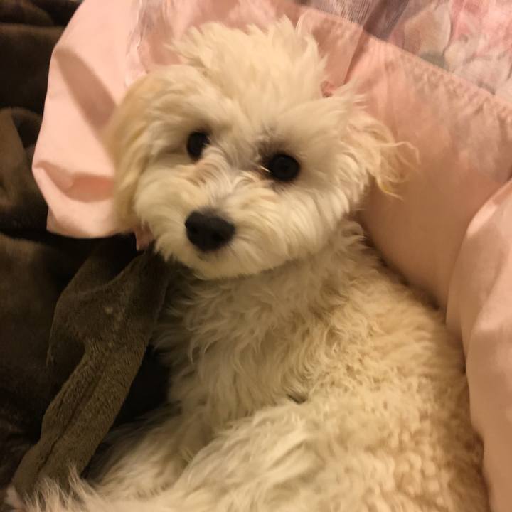 5e7123a7 5f62 4331 b54b 27067e14d0e7