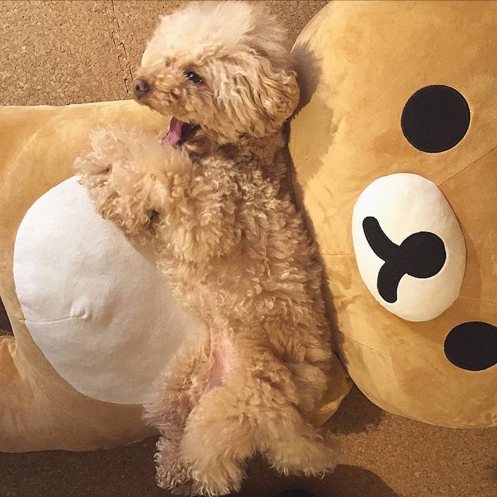 5e718582 15d7 468d be09 c761585faa33