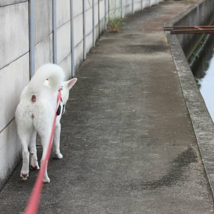 5e721e7c 4ea2 446a 9ad0 2c1b64b90370