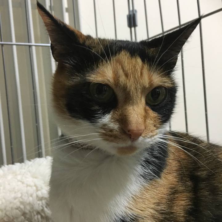 5e723457 c23c 4a25 b34d 9e156a62b951