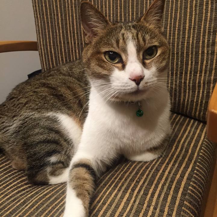 5e72ce82 9c96 45b9 9362 6c3b20a30a56