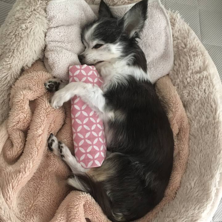 5e7349a7 42f6 4c7d 9aad 7a4d6a011d97