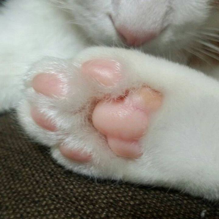 5e73cf27 ba2d 4afd 8b63 07f3314cbe17