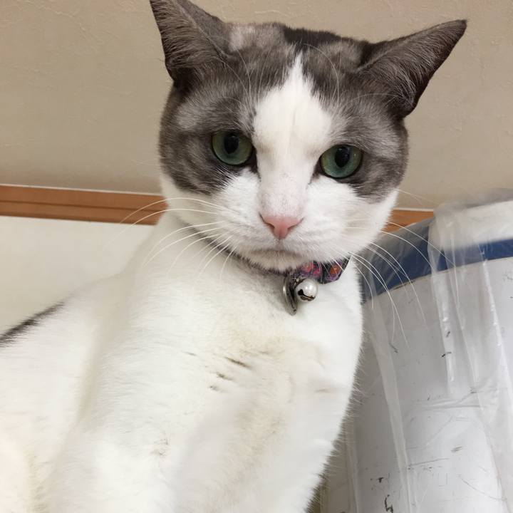 5e74ab7f 531d 4f31 a605 3644da4190dd