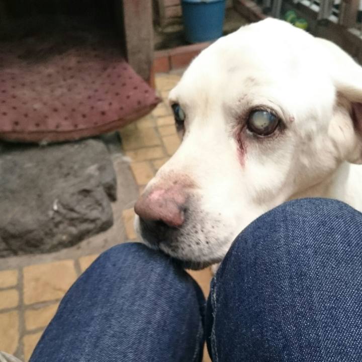 5e753e11 b362 43aa 9979 8f47f3830719