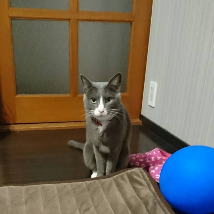 5e766507 71b9 4d7a 9bdc c52fef52cf54