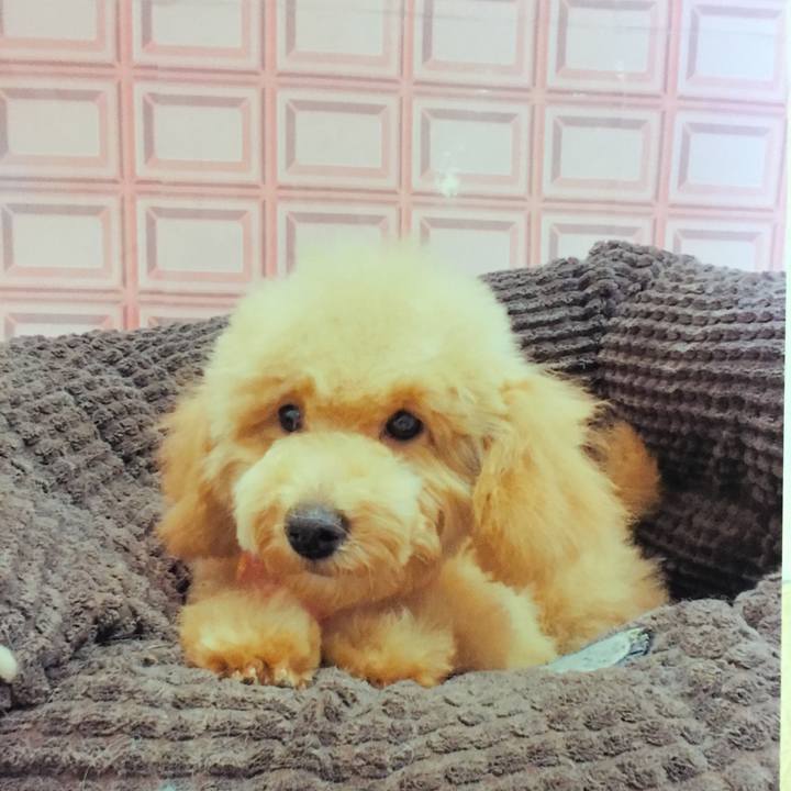 5e7667ab 2f9e 4f3f 804f 9a9d5b95cdbc