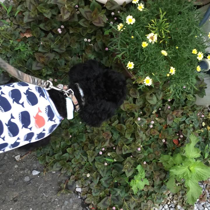 5e767d66 cc06 4688 aa58 6c9df1100cca