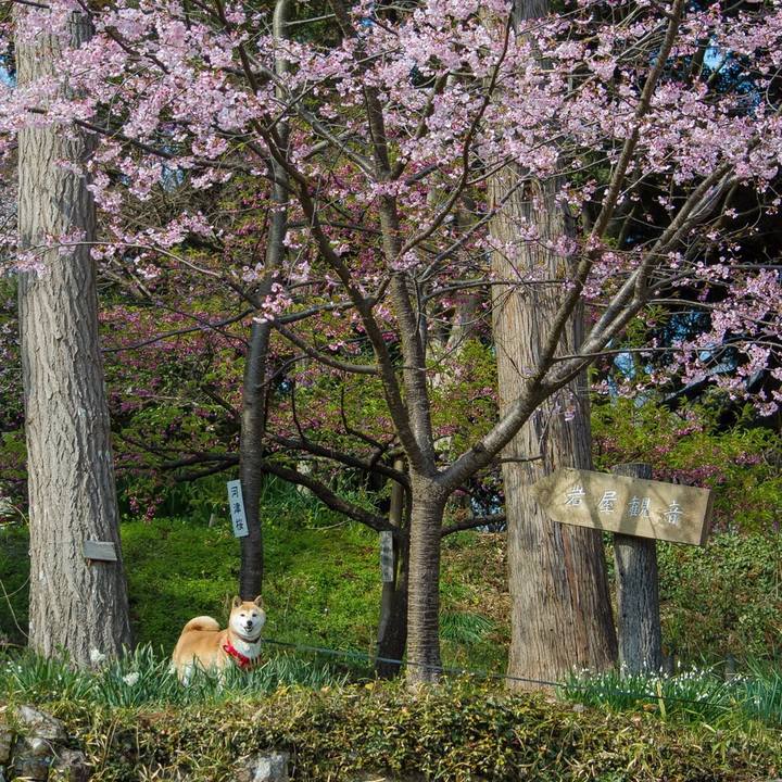 5e76a2dd 2e41 4d34 b96d 17341c248dd0