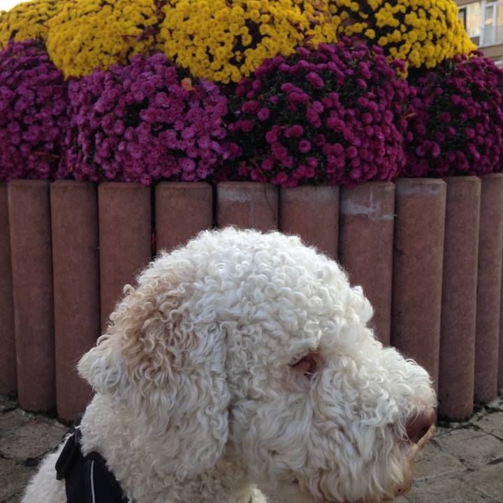 5e76ca44 866e 47b1 9e61 7bec99ac96f0