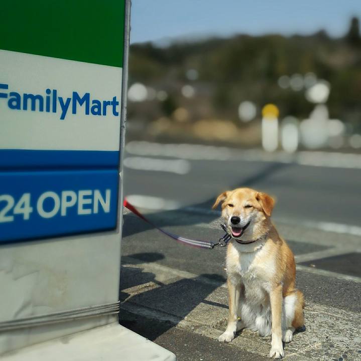 5e76ecfc 00c6 484b adcf 3d1dac32616e