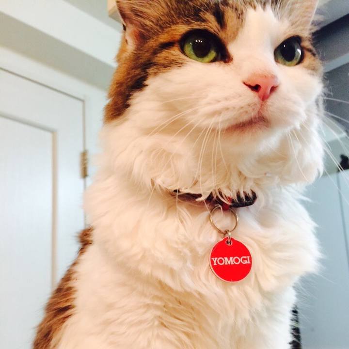 5e771582 8ff5 4fd9 978a 9059e50983f6