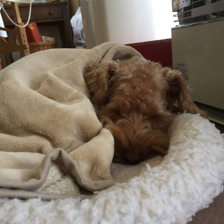 5e773295 e783 4aec a517 bc93f612b0c7