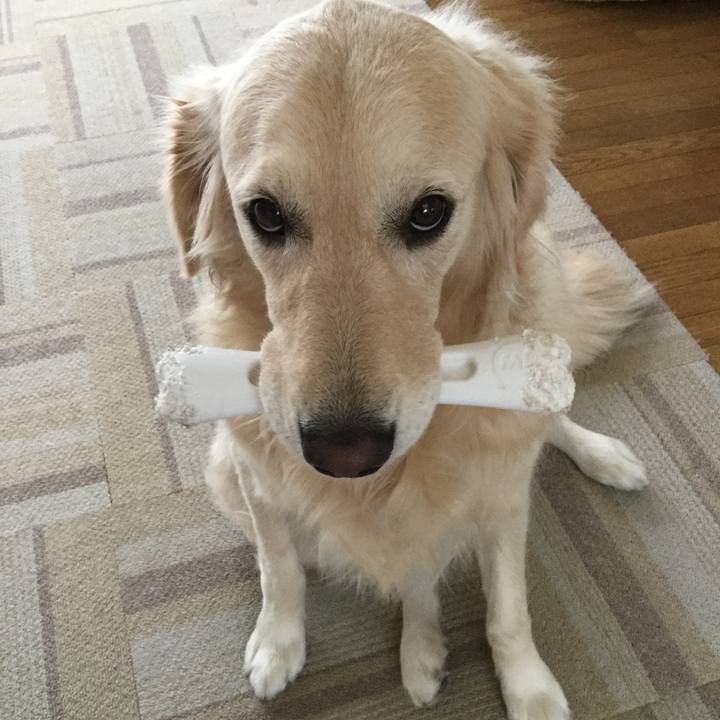 5e77983c b883 4c2b b3c2 af1233b23734