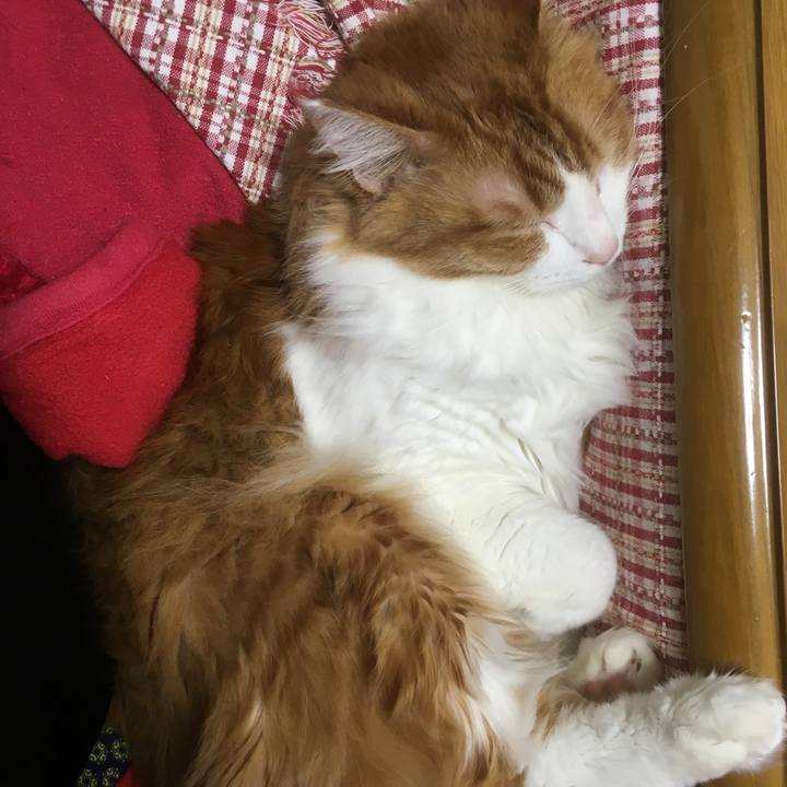 5e77a265 29e9 4ead aae0 7aff52a0a611