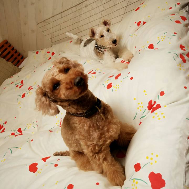 5e77d47b 5f0e 414b ba26 ae8012052c43