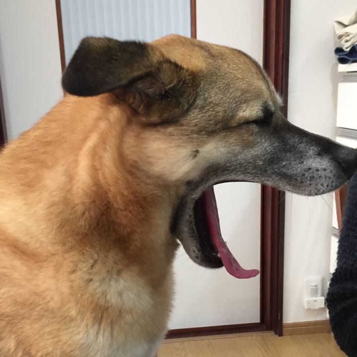 5e77e286 2329 47ea 91eb 8b1140d729f6